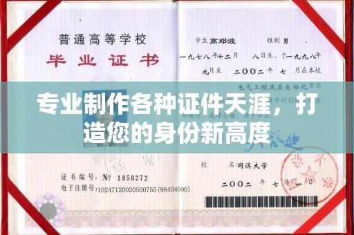 阿拉善左旗专业制作各种证件天涯，打造您的身份新高度
