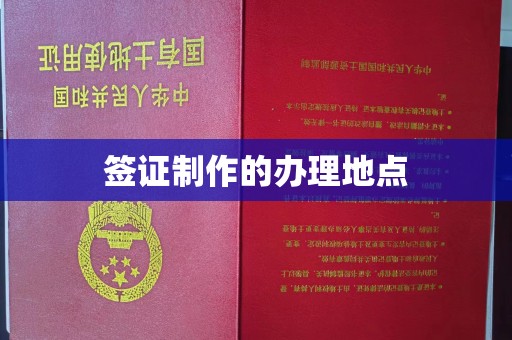 巴楚签证制作的办理地点